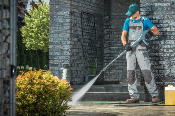 Best Rust Removal  in St Charles, MI