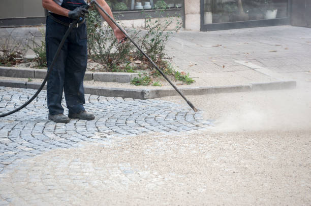 Best Dumpster Area Cleaning  in St Charles, MI