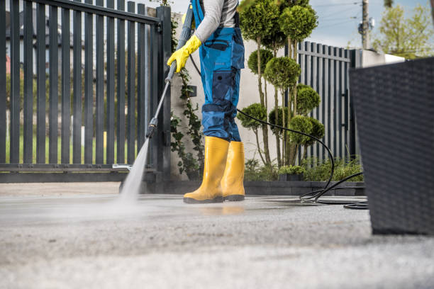 Best Soft Washing  in St Charles, MI